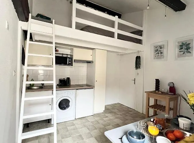 L Alsace Lorraine - A Deux Pas Du Capitole - Entrée Autonome -wifi Appartement *