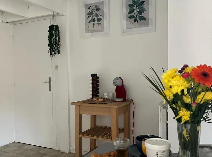 Appartement L Alsace Lorraine - A Deux Pas Du Capitole - Entrée Autonome -wifi *