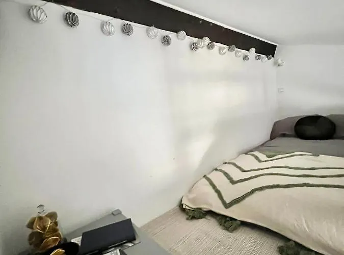 L Alsace Lorraine - A 5min Place Du Capitole -free Checkin -wifi * تولوز