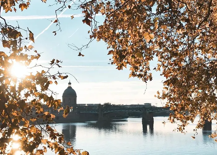 L Alsace Lorraine - A 5min Place Du Capitole -free Checkin -wifi شقة تولوز